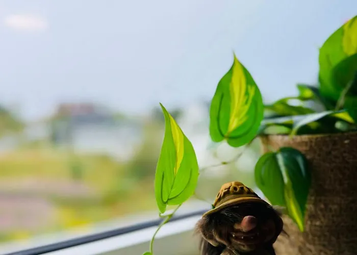 Feriehus Kb Storhaugen House - Sørvågen *